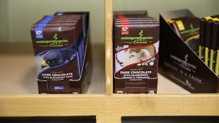 This Indianapolis-based chocolate factory is working to save endangered species