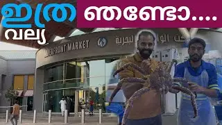 Giant ഞണ്ടിനെ🦀കൈയ്യിൽ എടുത്തപ്പോൾ | Dubai Fish Market-ൽ ഒരു കടൽ തന്നെ ഉണ്ട് | Must watch full🦂🐙🦑🦐🦞