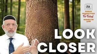 You're looking RIGHT PAST him | Parsha Perspectives | Mishpatim 5786