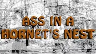 Ass In A Hornet's Nest Lyric Video