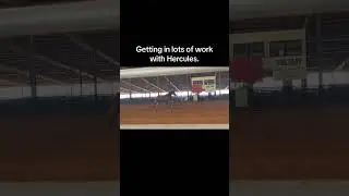 Hercules!!! #foryou #horse #realatable #fypシ゚viral #barrelracing #reigning