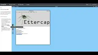 9.4.8 Lab: Poison DNS