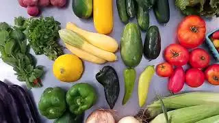 2021 Virtual CSA Fair: Earth Dance Farm