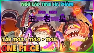 Review Onepiece Tập 1143 + 1144  + 1145 : Ngũ L&atilde;o Tinh Thị Uy Sức Mạnh | Luffy 1145 | Review Anime