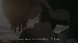 Shawn Mendes, Camila Cabello - Señorita ( Slowed & Reverb )