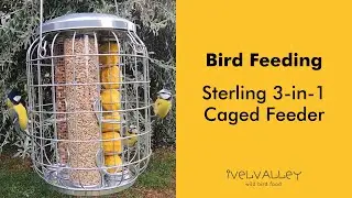 Sterling 3 in 1 Caged Feeder | Bird Feeding