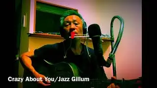 Crazy About You/Jazz Gillum