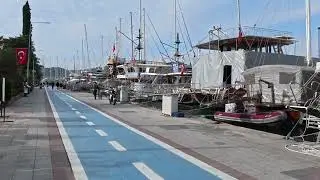 Blue Road