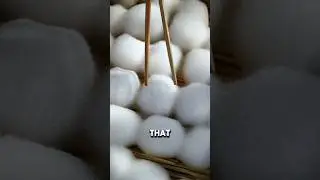 How Moldy Tofu Is Made 🤯