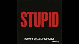 Stupid (explicit lyrics)
