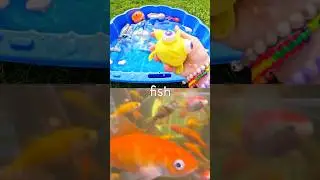 Kids Learn | Sea Animal Names: Whale Manta Ray Blue Whale Orca Fish #SummerOnShorts
