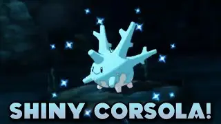 DEXNAV SHINY! - Shiny Corsola DexNav Chain (DexNav Chain of 317) - Pokemon ORAS DexNav Shiny