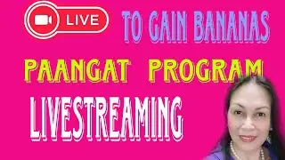 RISING CREATORS PAANGAT LAPAGAN PROGRAM