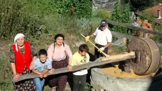 C.DEVELİ TOKAT ALMUS ARISU KÖYÜ KÖYLÜMÜZÜ HATIRLAYALIM