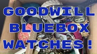Goodwill BlueBox Watch Lot UNBOXING! Fab or Flop?