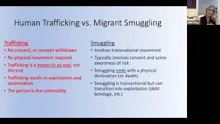 Trafficking In Persons: Law Enforcement Challenges During An International Crisis