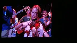 Fiddle rally performance Nash 2019