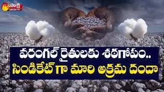 Ground Report : Fake Cotton Seeds Business In Warangal District | Sakshi TV