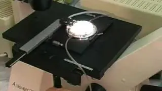 Bioptechs FCS2 System