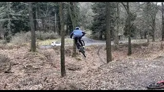 Forest Of Dean Shredding
