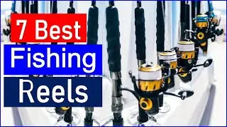 Top 7 Best Fishing Reels in 2025 | Best Fishing Reels - Reviewed