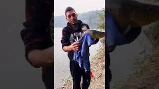 tinca da 2kg e mangiata inaspettata
