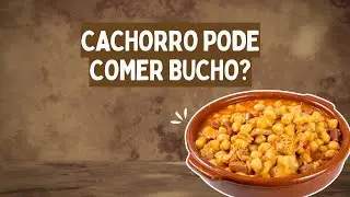 C&atilde;es podem comer bucho? I C&atilde;o pode comer bucho?