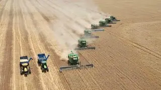 Australian grain farmers to make record profits