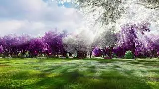 Nature wallpaper 4k with sakura and beautiful spring nature - Nature Background