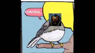 Warframe Vs  Anthem in a nutshell