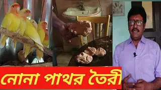 পাখির জন্য লবনাক্ত কৃত্তিম পাথর তৈরীর গোপন কৌশল || How to make salty stone for birds||