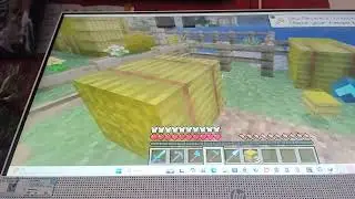 Survival world showcase 