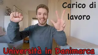 In Danimarca quanto si studia? - Carico di lavoro università in Danimarca