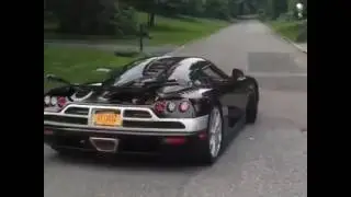 Supercar VS pig