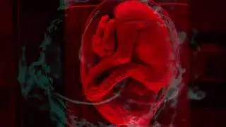 LEDH - Endless (official video x MACA vj) | Techsound Records