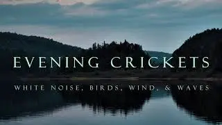 Evening Crickets. White Noise, Birds, Wind, & Waves.