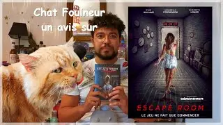 Chat Fouineur n&deg;31 - avis sur Escape Room