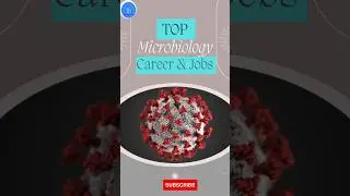 Top 10 Career Option for Microbiology Students & Researchers. Job for MSc &  PhD Microbiology