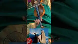 213.Chindaya ma | bhairavi | rupakam | song