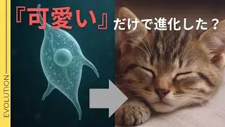 【猫の起源と進化の歴史】可愛さだけでのし上がった！？最強種族『イエネコ』 に迫る！