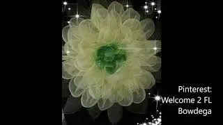 Welcome2FL Bowdega