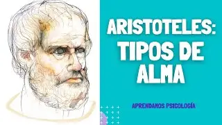 Cuáles son los Tipos de Alma de Acuerdo con Aristóteles?