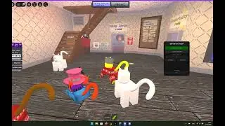Confined Kitties script: Better cat color showcase