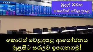 How to Start Investing in the Colombo Stock Market for Beginners | Step-by-Step Guide