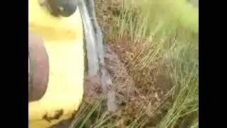 MOV00318