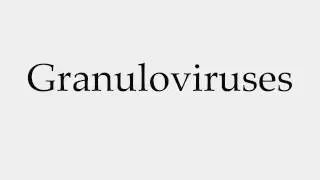 How to Pronounce Granuloviruses