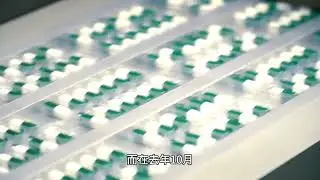 药明巨诺与2seventy再携手，推动CAR T细胞治疗在免疫疾病领域的创新发展