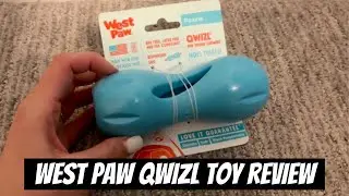 Is It The BEST Dog Toy? (West Paw Dog Qwizl Toy Review)