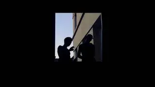 DJO2 - Frelon