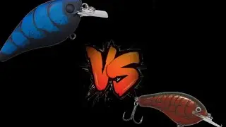 BUBONIC BUGZ | Vs. | Bagley Balsa